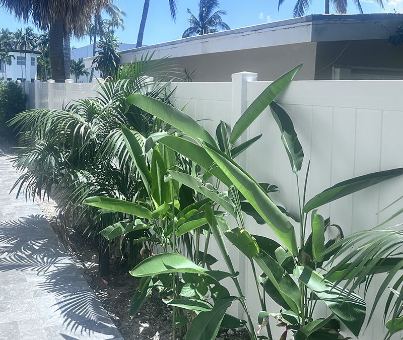 Tongue & Groove PVC Privacy Fence – PVC Fence Installation – Vinyl Fence Installation – Fence Installation – Residential Fence Installation – Free Estimates – Fort Lauderdale, FL Fence Installation